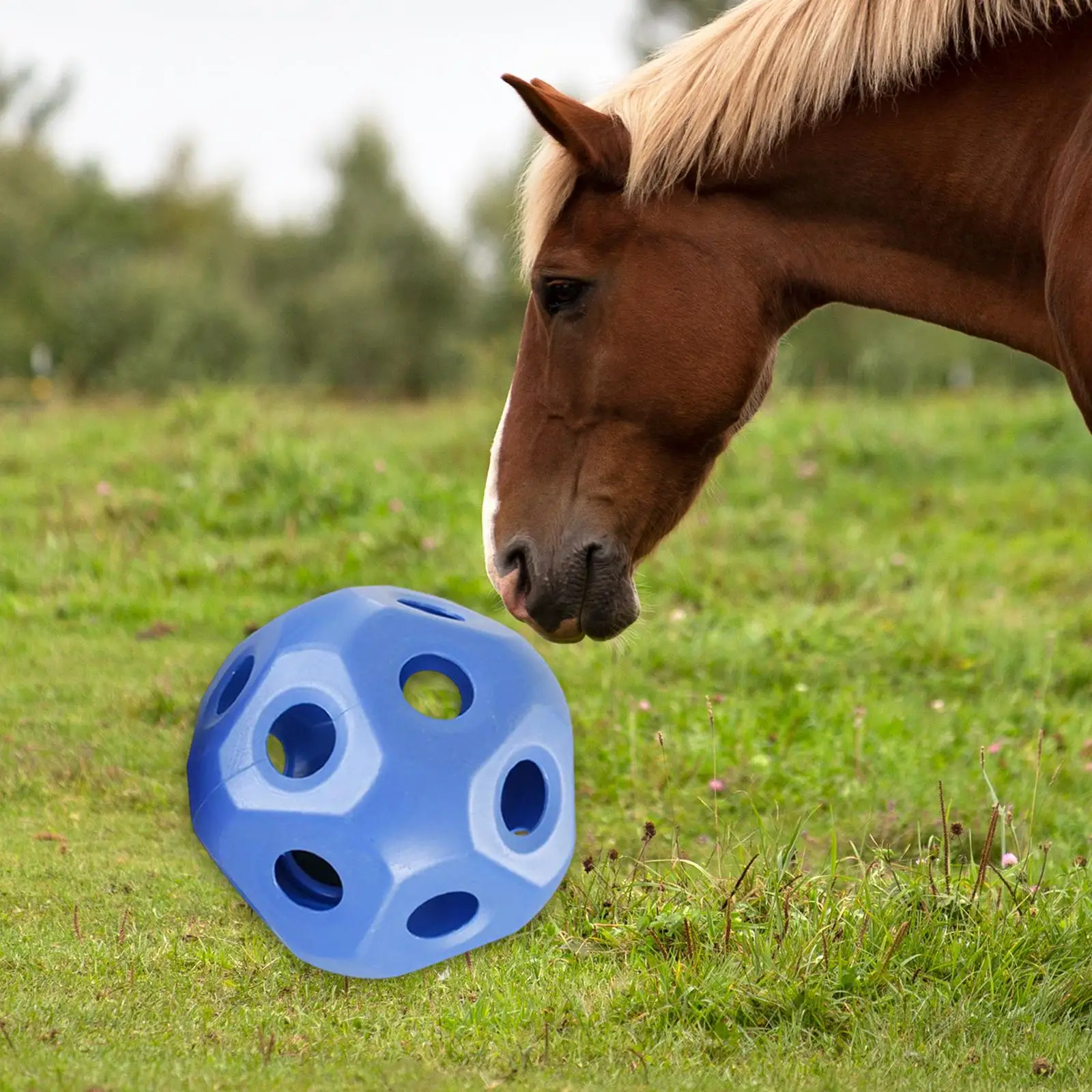 Fun Horse Treat Ball Slow Feed Hay Ball Hay Feeding Toy Hay Feeder Ball Horse Feeder Toys for Horse Stable Stall Trailer Rest