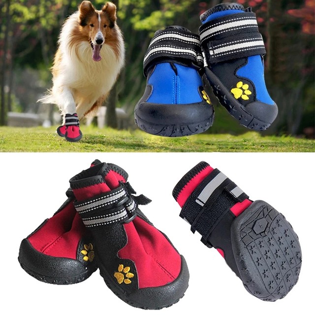 Dog shoes best sale for large dogs