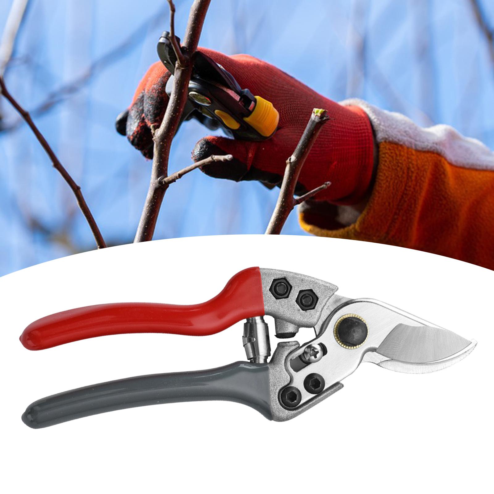 Pruning shear Rose Flower Hedge Cutter with Lock Hand Pruners for Branches