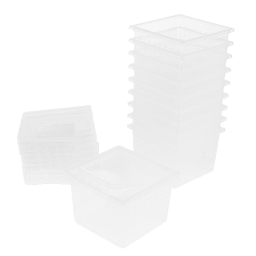10pcs Clear Plastic Reptile Spider Lizard Scorpion Beetle Insect Breathable Breeding Feeding Box Terrariums Container