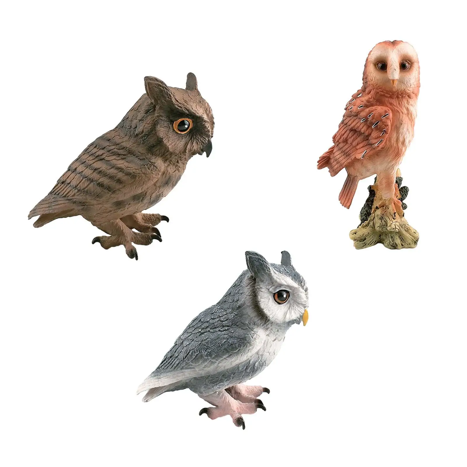 Simulation Owl Model Collection Playset Desktop Decor for Teaching Materials Decor Educational Birthday Gift Yard Decors