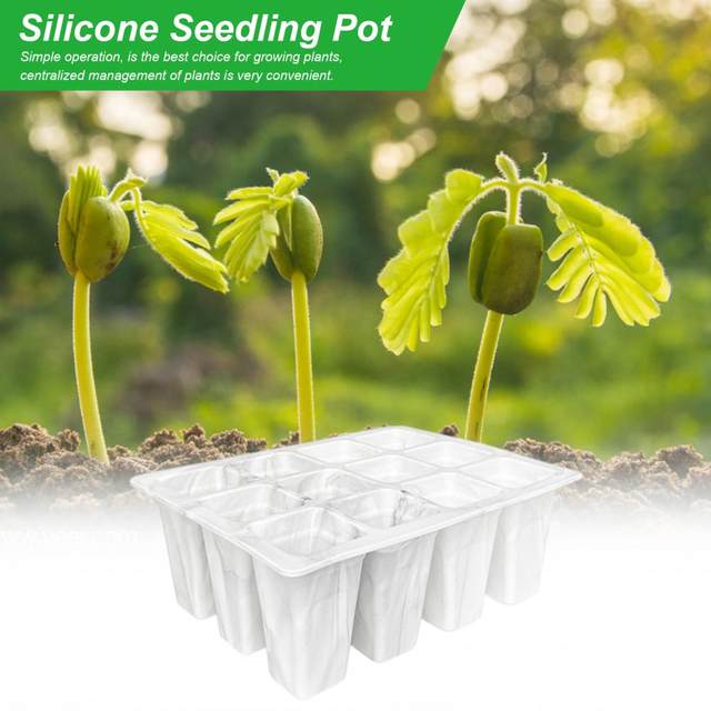 12 Grids Seeds Starting Tray with Drainage Holes Silicone Stackable  Biodegradable Nursery Pots for Vegetable Herb Flower Seeds - AliExpress