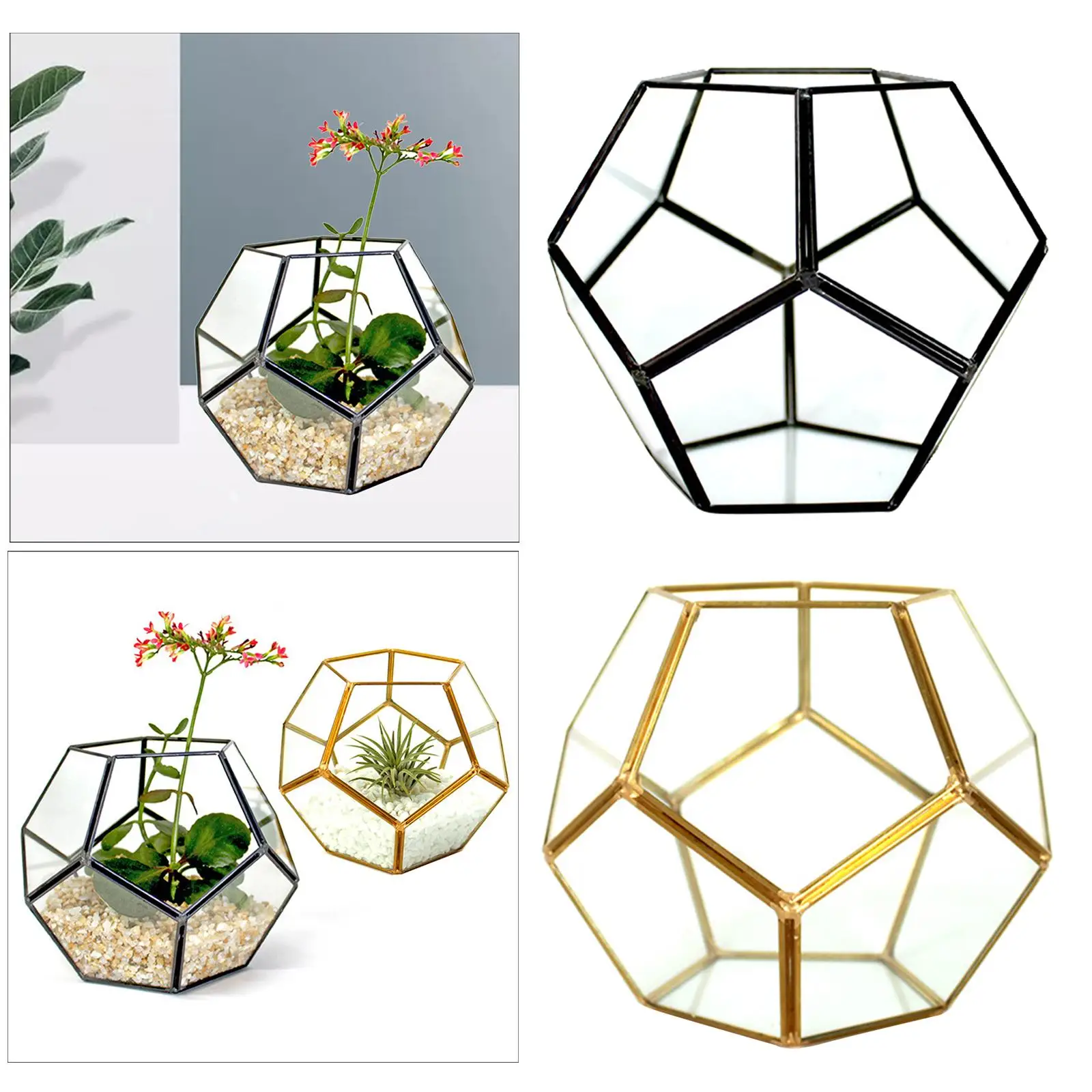 Geometric Terrarium, Planter Shelves, Bonsai Container for , Fern Air Plants Tabletop Decor Gift