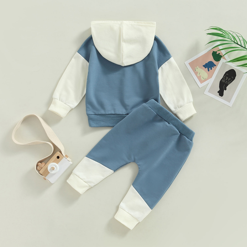 FOCUSNORM 0-3Y Herbst Kausalen Baby Jungen 2 stücke Kleidung Sets Farbe Patchwork Langarm Pullover Mit Kapuze Tops Elastische Hosen – Detail 6