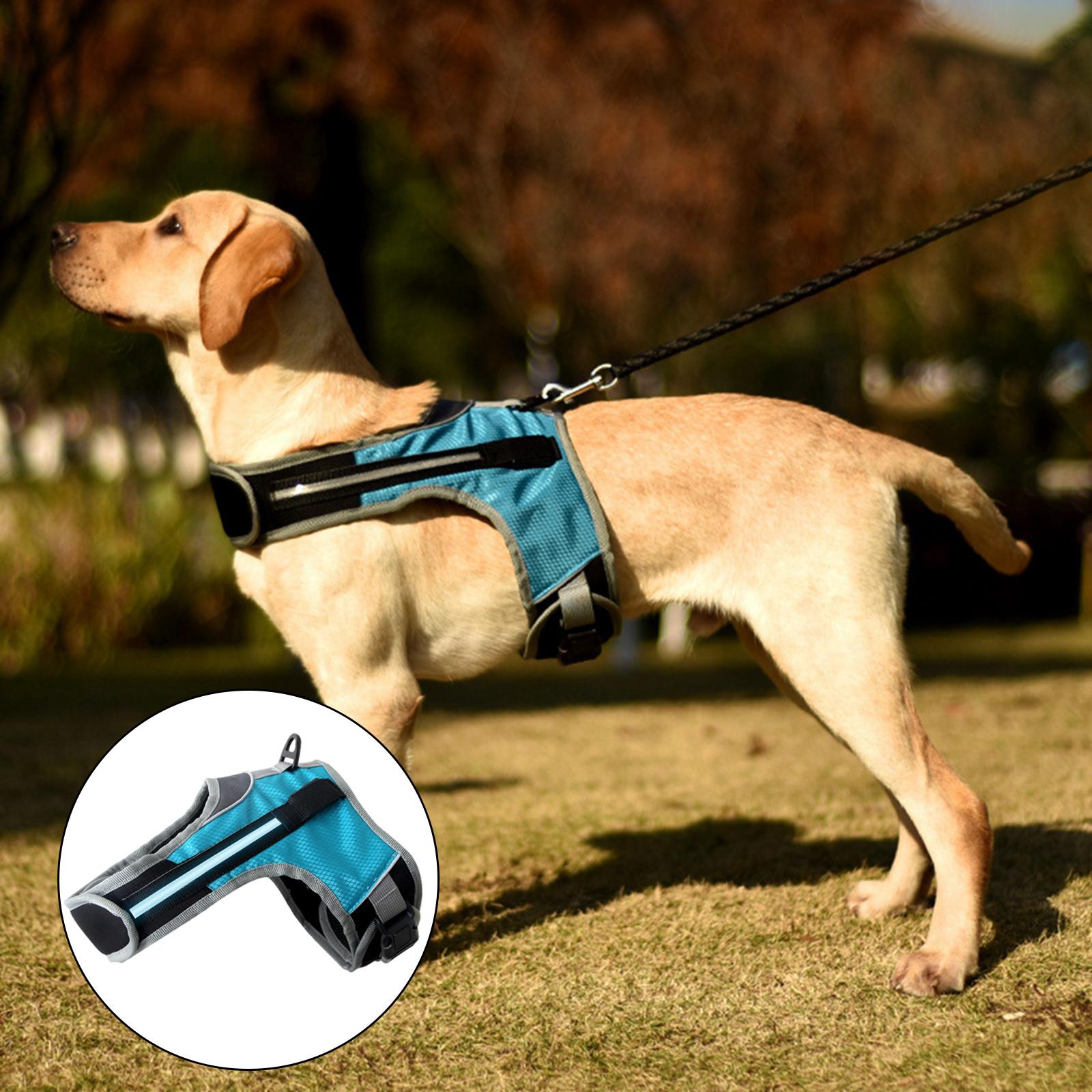 makuti dog harness