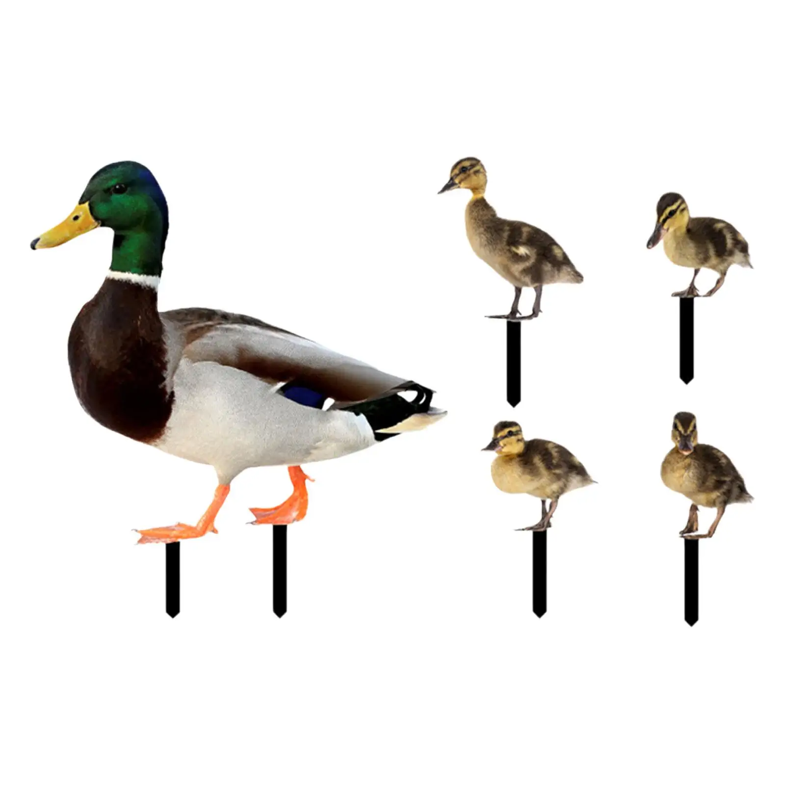 5 Pieces Duck Animal Statue Garden Decor Flat Floor Decoration Lifelike Duck Sculpture Garden Ornaments