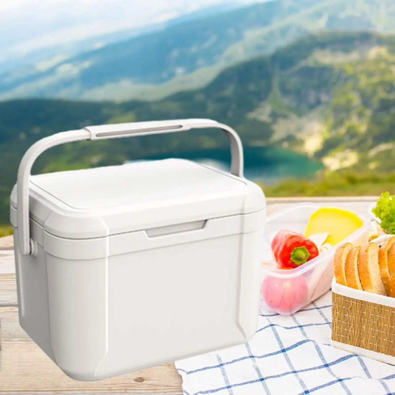 Insulated Cooler Box 5L Hard Cooler for Shipping Food Barbecue Party