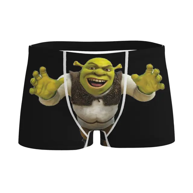 Male Cool The Rock Dwayne Meme Underwear American Actor Johnson Boxer  Briefs Stretch Shorts Panties Underpants - Boxers - AliExpress