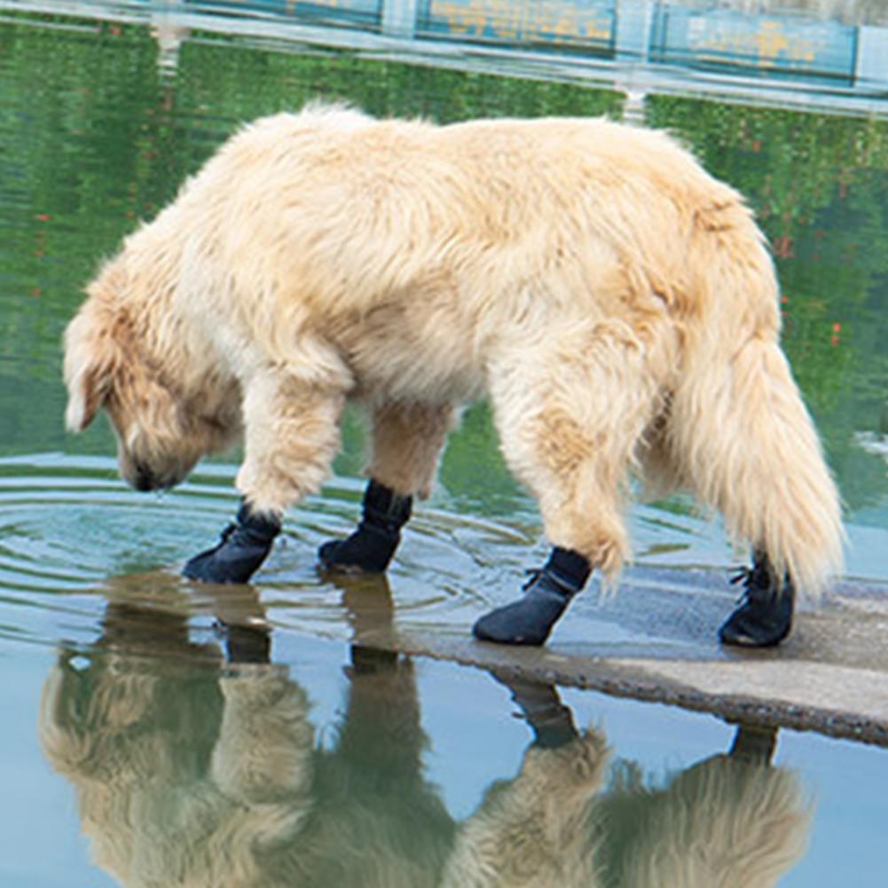 Title 1, Chaussures antidérapantes pour chiens, 4 pièces...