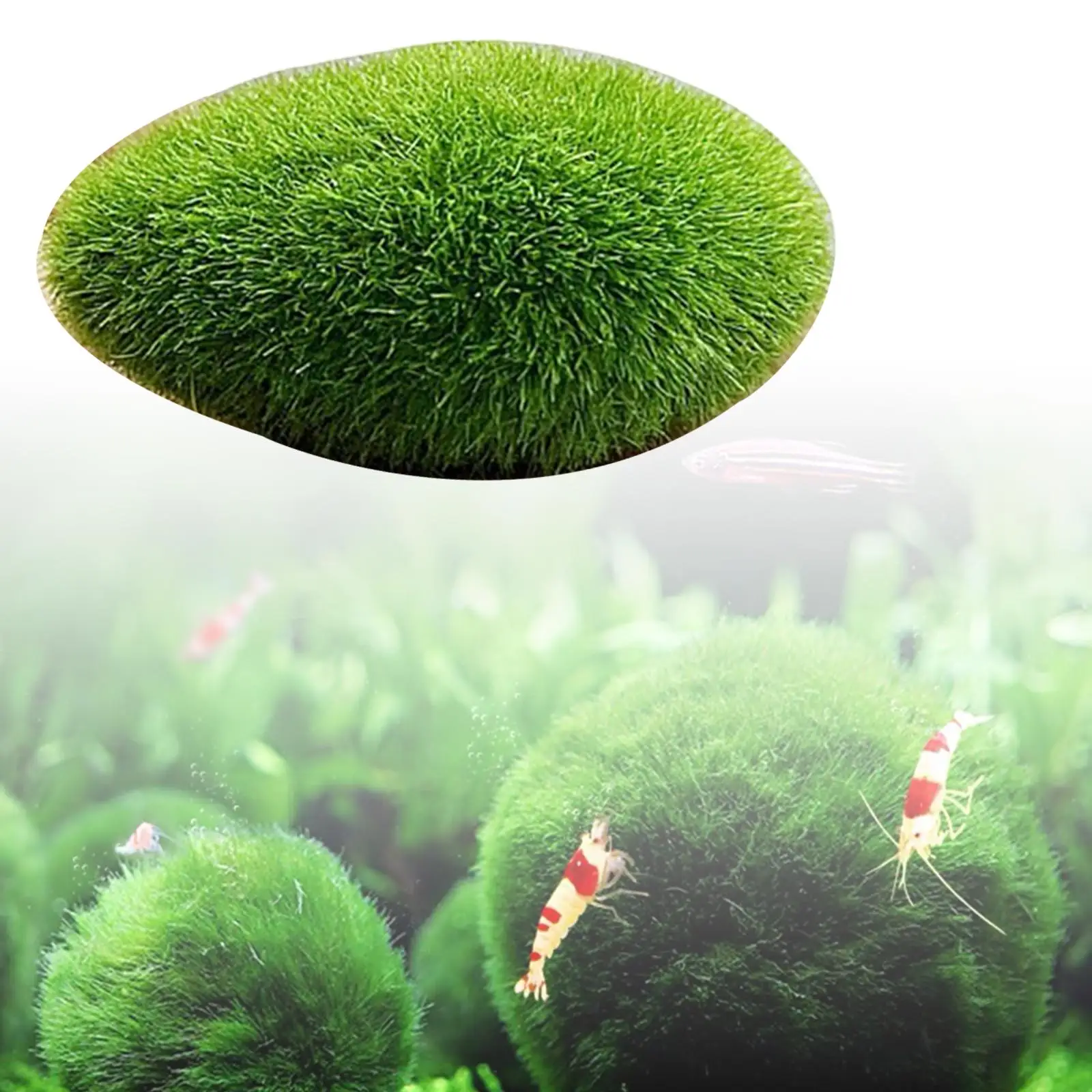 Artificial Moss Rocks Moss Stone Green Moss Balls Bryophytes Decorative Faux for Party Dollhouse Weddings Decorations