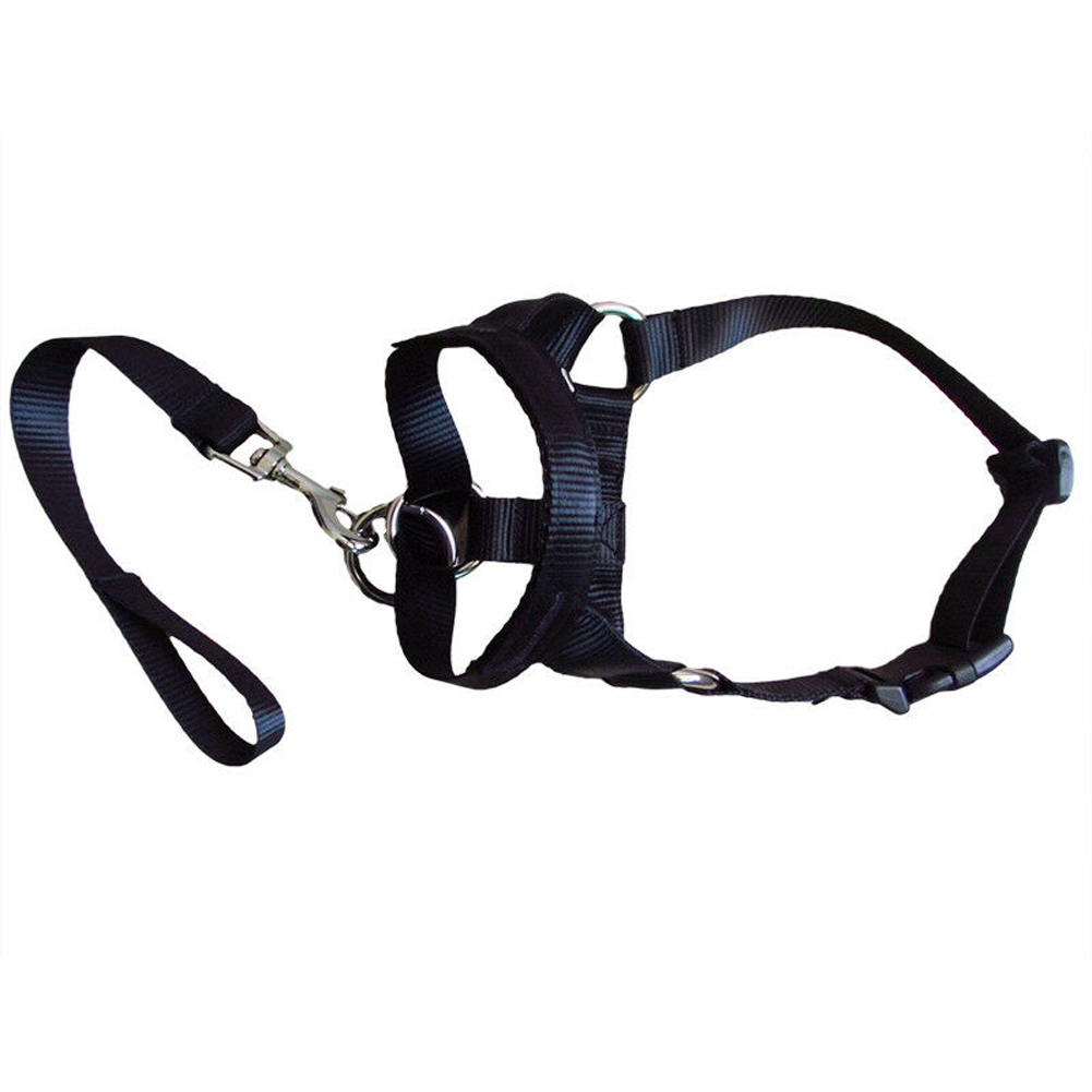 dogalter headcollar