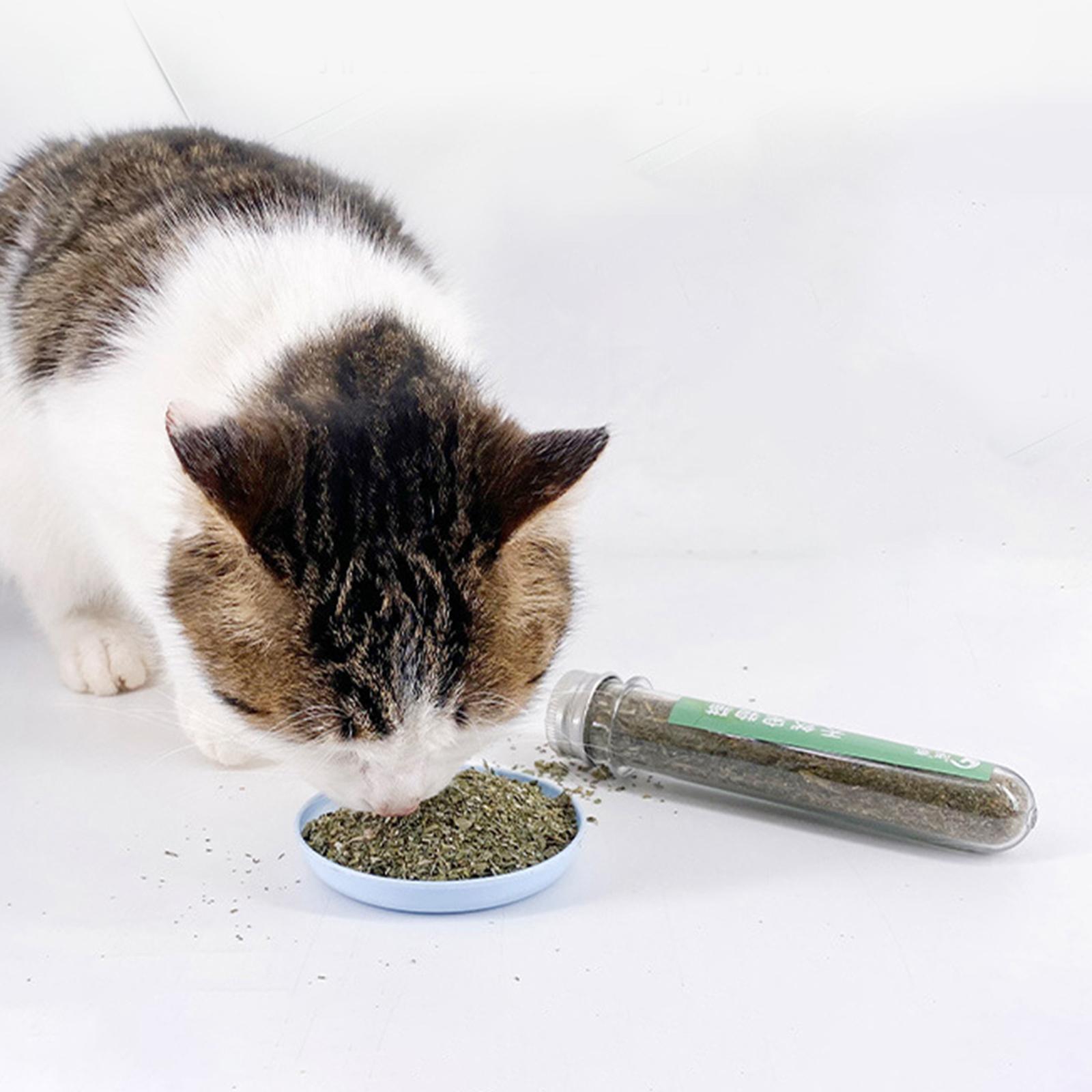 Catnip Powder for Cats Pet Supplies Cats Treats Catnip for Happy Kitten Catnip Powder for Cats Pet Supplies Cats Treats Catnip for Happy Kitten