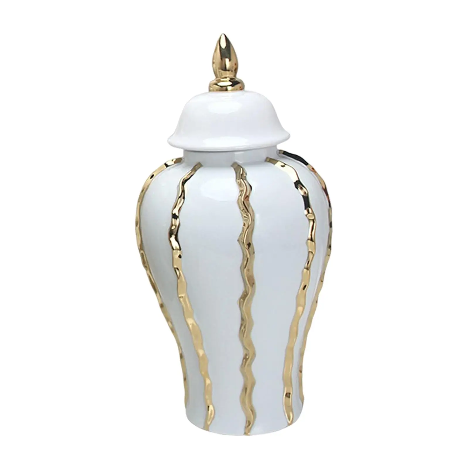 Modern Ginger Jar with Lid Handicraft Decorative Storage Light Luxury Porcelain Jar Vase for Party Desktop Decor Ornament Gift