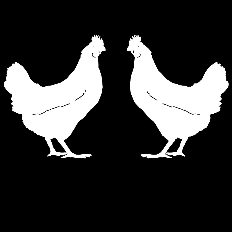 Auto Aufkleber Zwei Huhn Muster Persönlichkeit, Motorrad Aufkleber Produkte Dekoration Caravan Zubehör Abdeckung Kratzer Nette – Detail 2