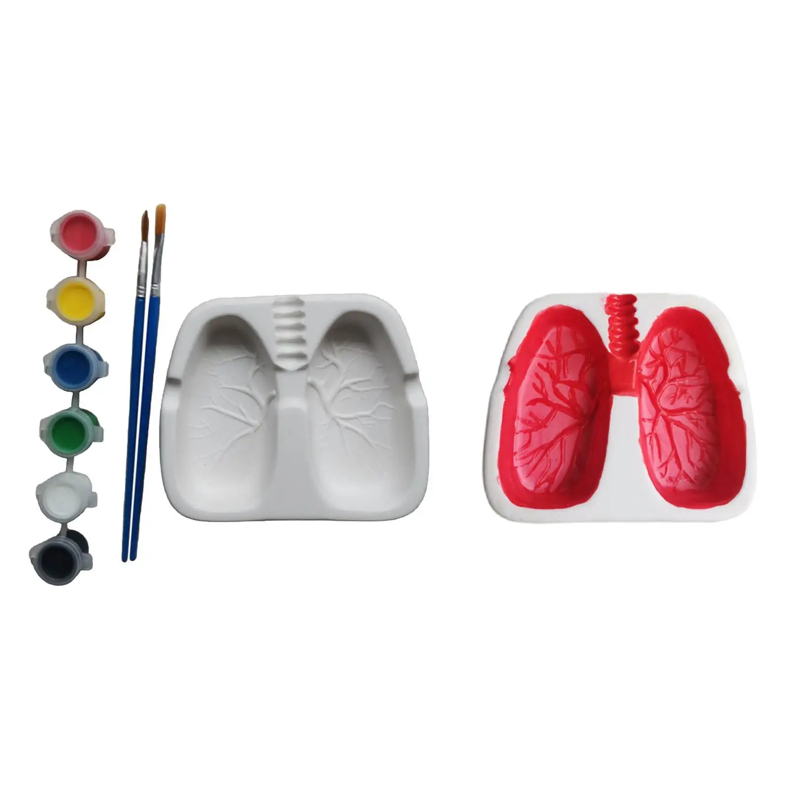 Fashion Lungs Ashtray Ceramic Cigarette Ashtray for Home Father Boyfriend Gift Decor