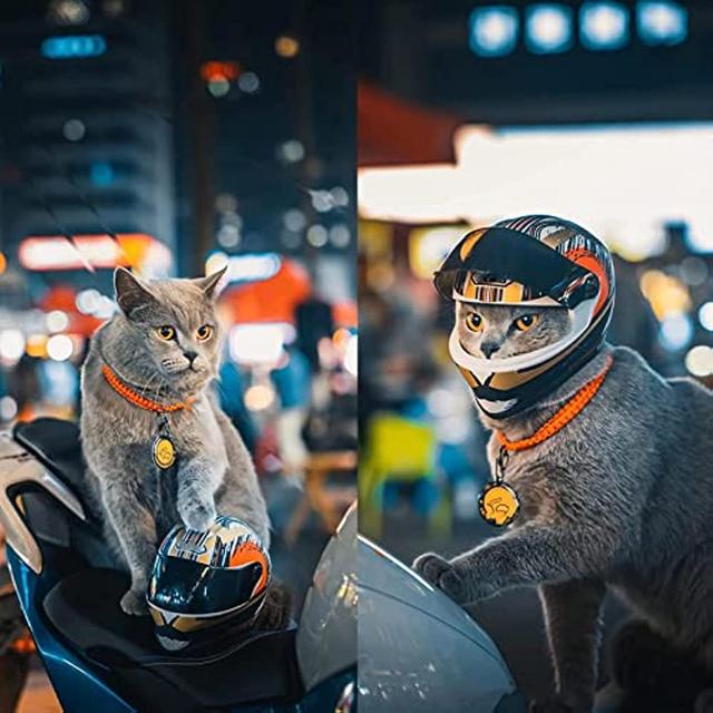 Casco per moto con orecchie da gatto, staccabile, approvato DOT, accessori per  moto per donne e uomini, integrale, traspirante, regali per ragazza e  moglie - AliExpress