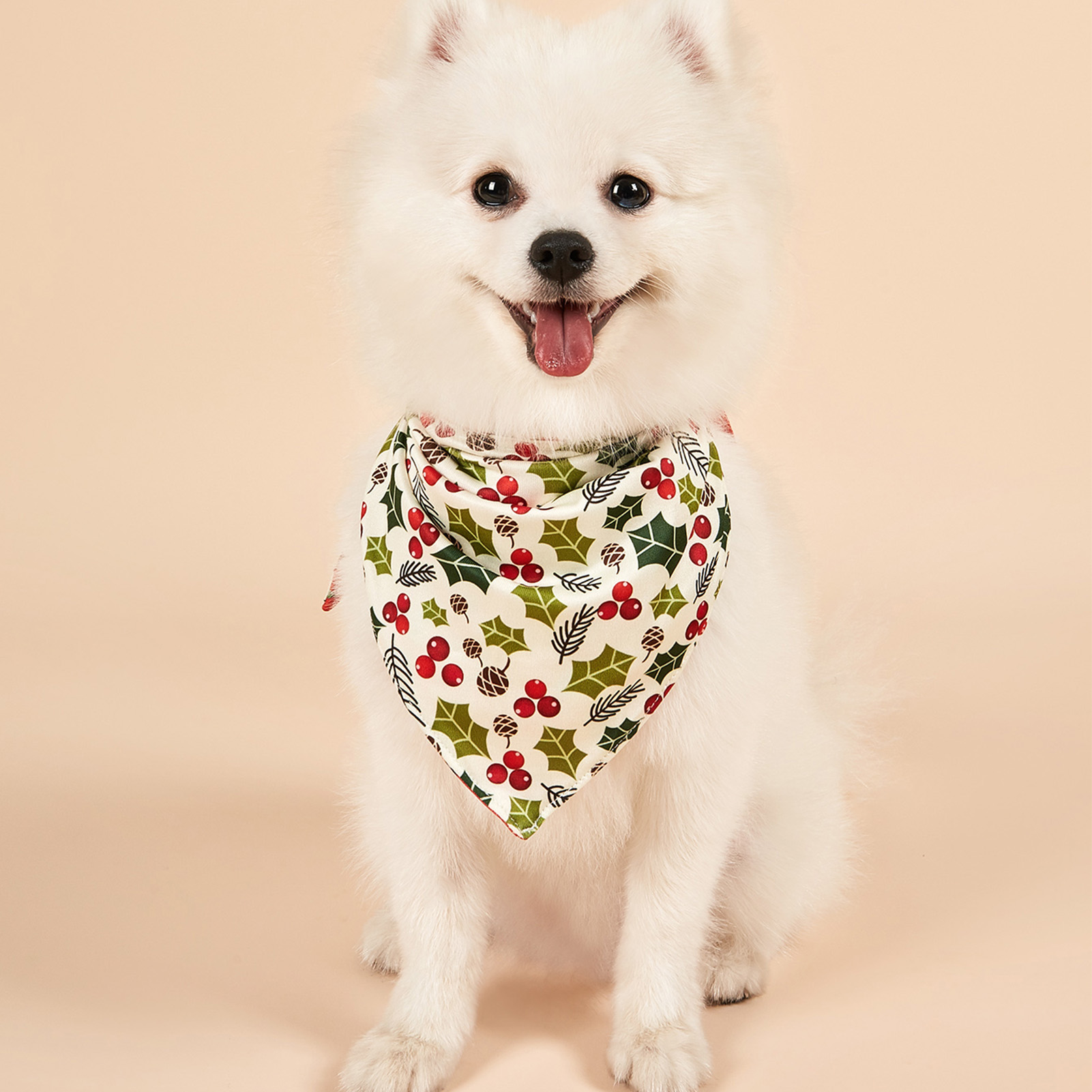 Title 28, Christmas Dog Bandanas Santa Claus Dog Scarf Fo...