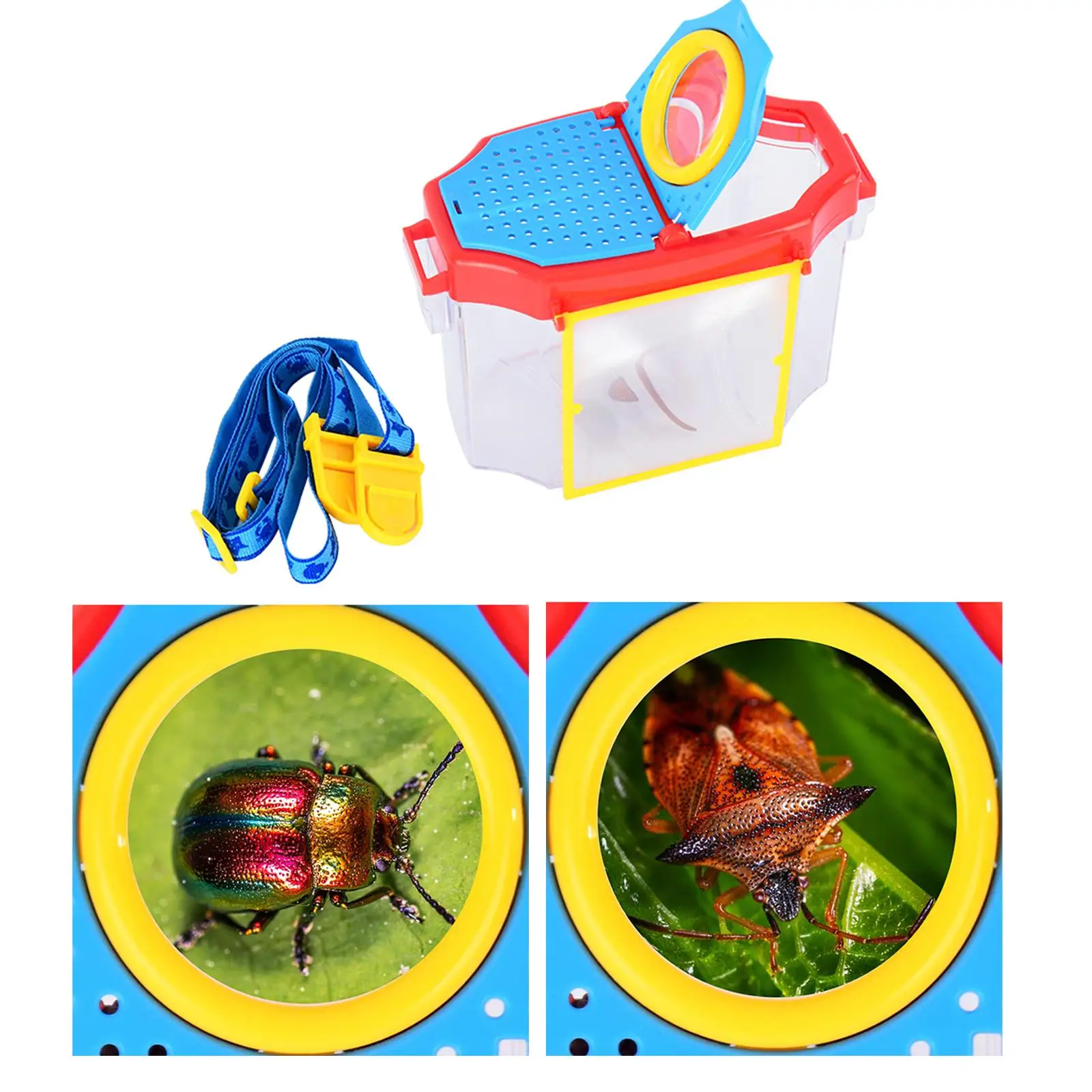 Observation Box Educational Toy Portable Lightweight science Class Kids