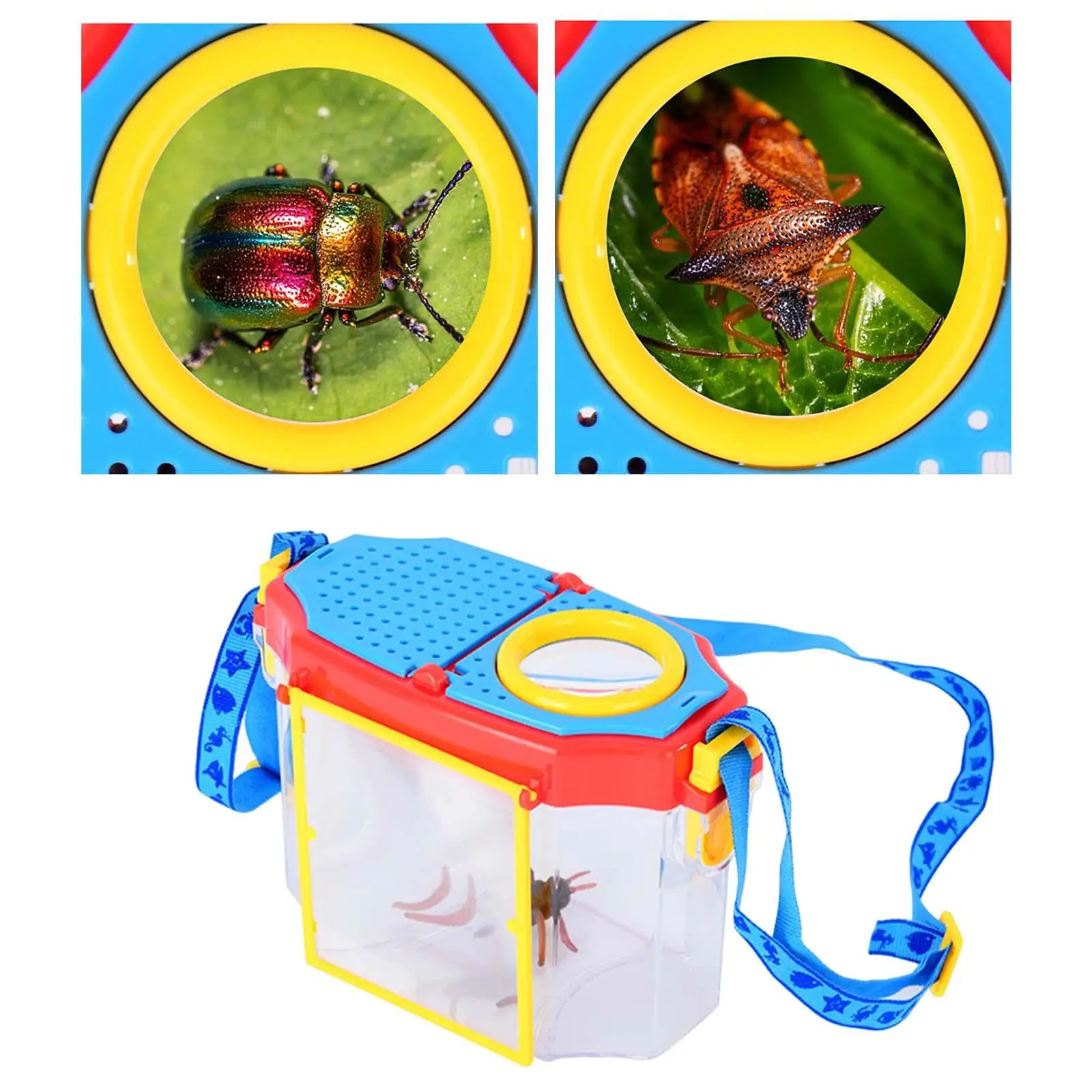 Observation Box Educational Toy Portable Lightweight science Class Kids