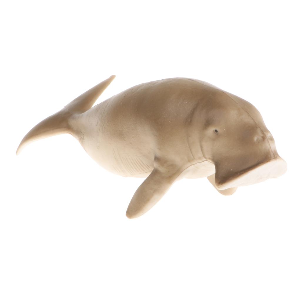 Realistic 5.6 `` Manatee Action Figure, Plastic Ocean Dugong  Model