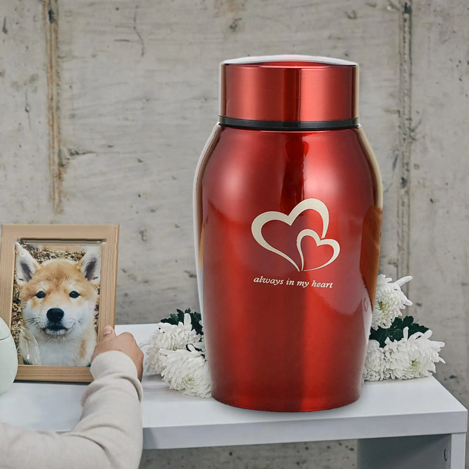 Pet Urn Container Jar Keeping Precious Memories Funeral Portable Durable Burial Keepsake Urns for Puppy Kitten Cat Rabbit