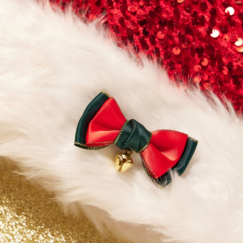 Christmas Hat Photo 11