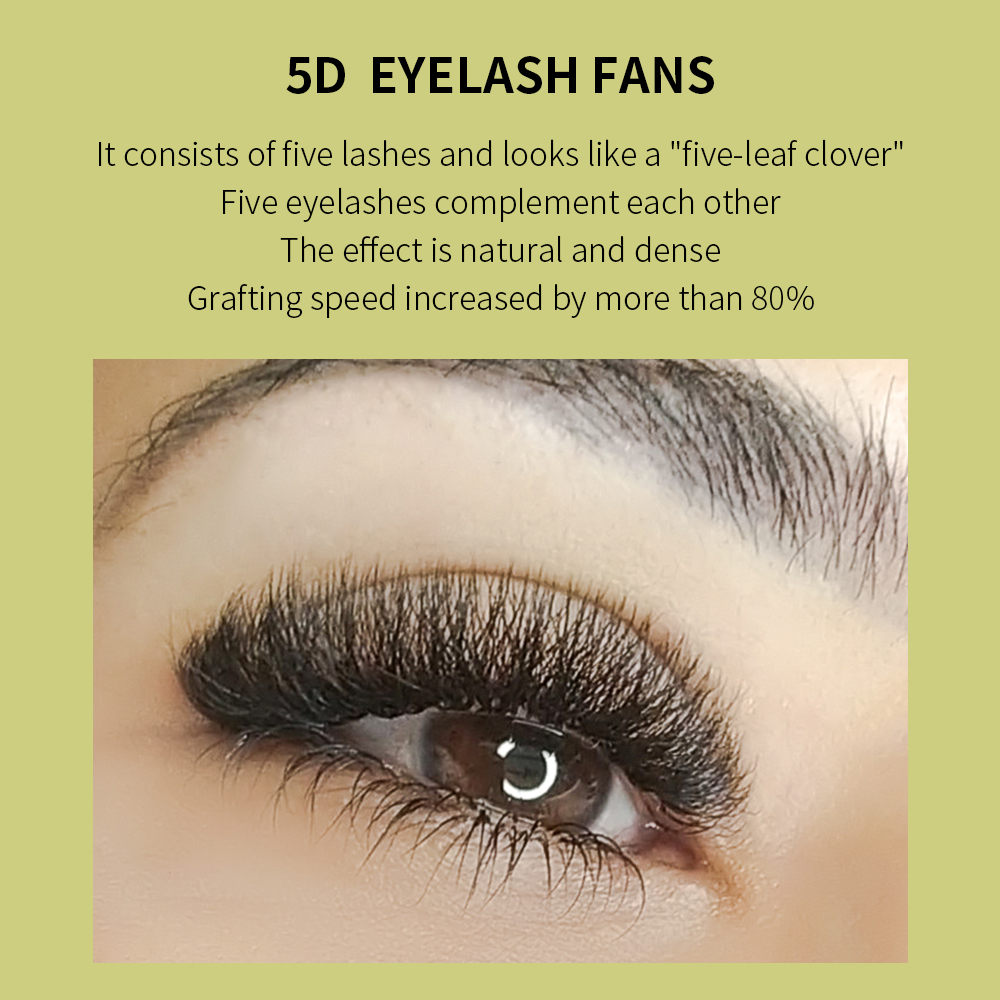 Best of GLAMLASH 3D4D5D W Style Flower Lash Premade Volume Fans Eyelash Extension Natural Soft Light Lash W Shaped Reviews & Tips - Image 2