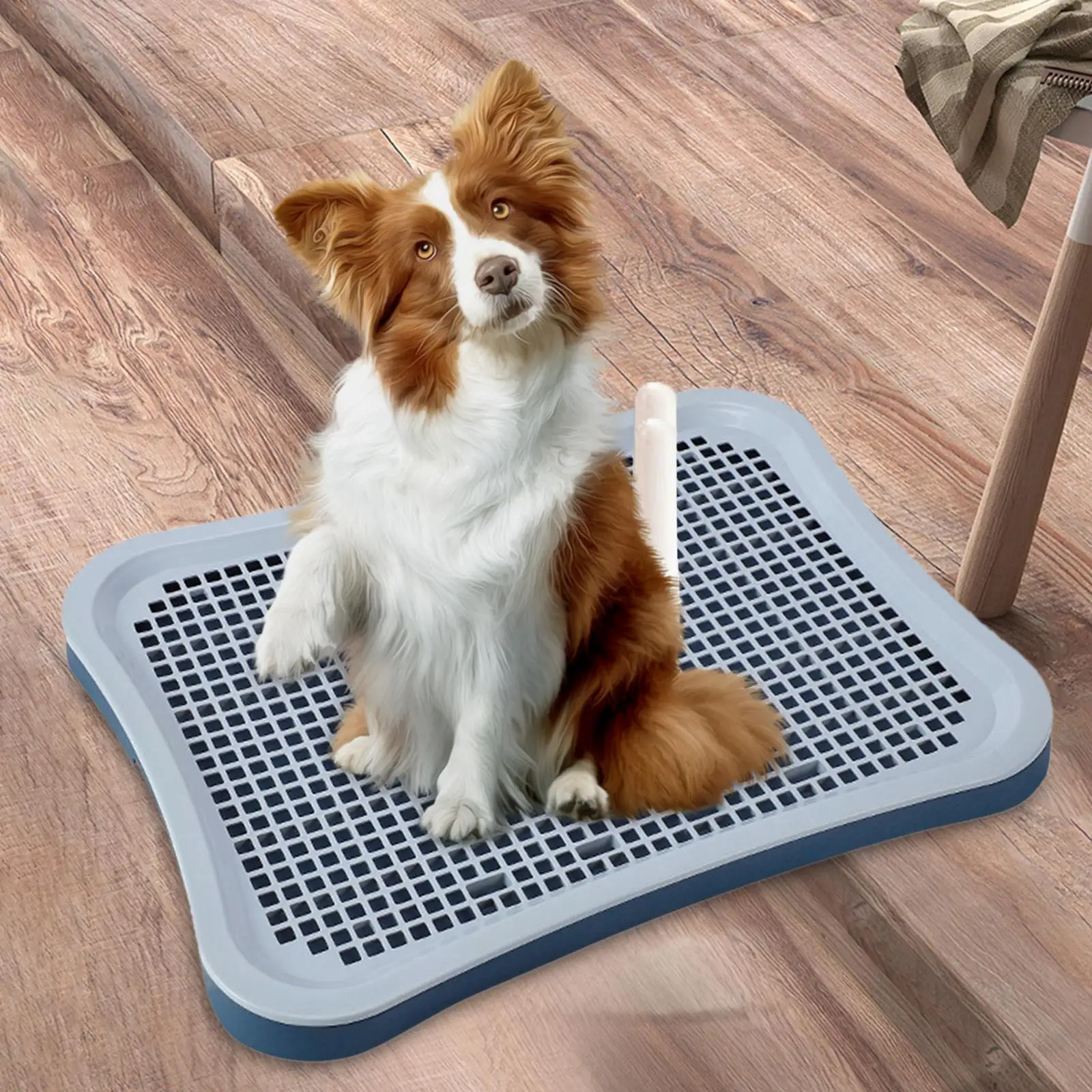 Dog Training Toilet Dog Potty Tray Litter Bedding Box Anti Slip with Urinary