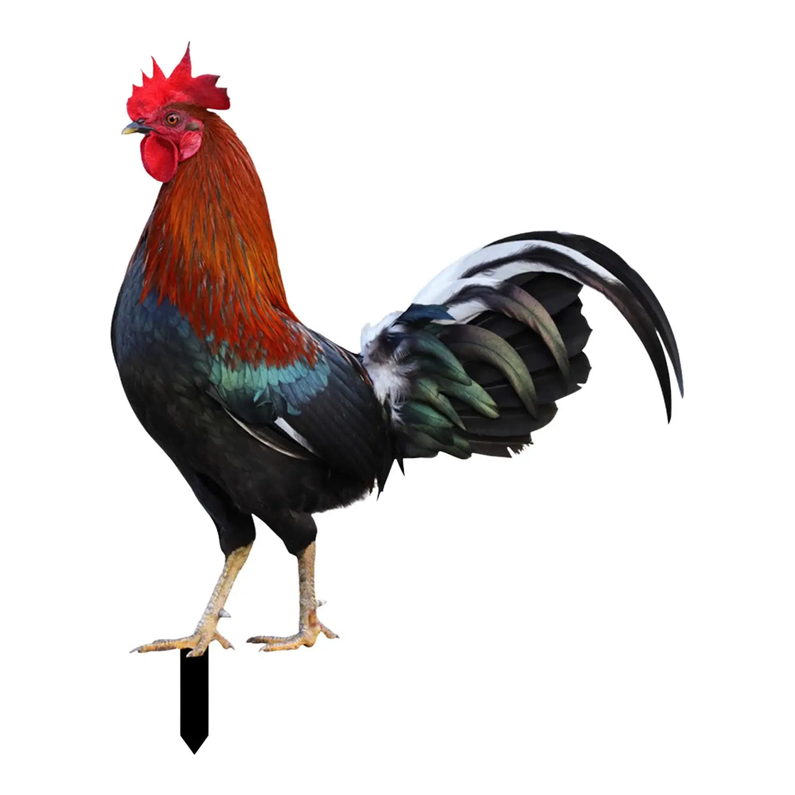 Rooster Animal Statue Stakes Rooster Animal Stakes for Courtyard Lawn Yard