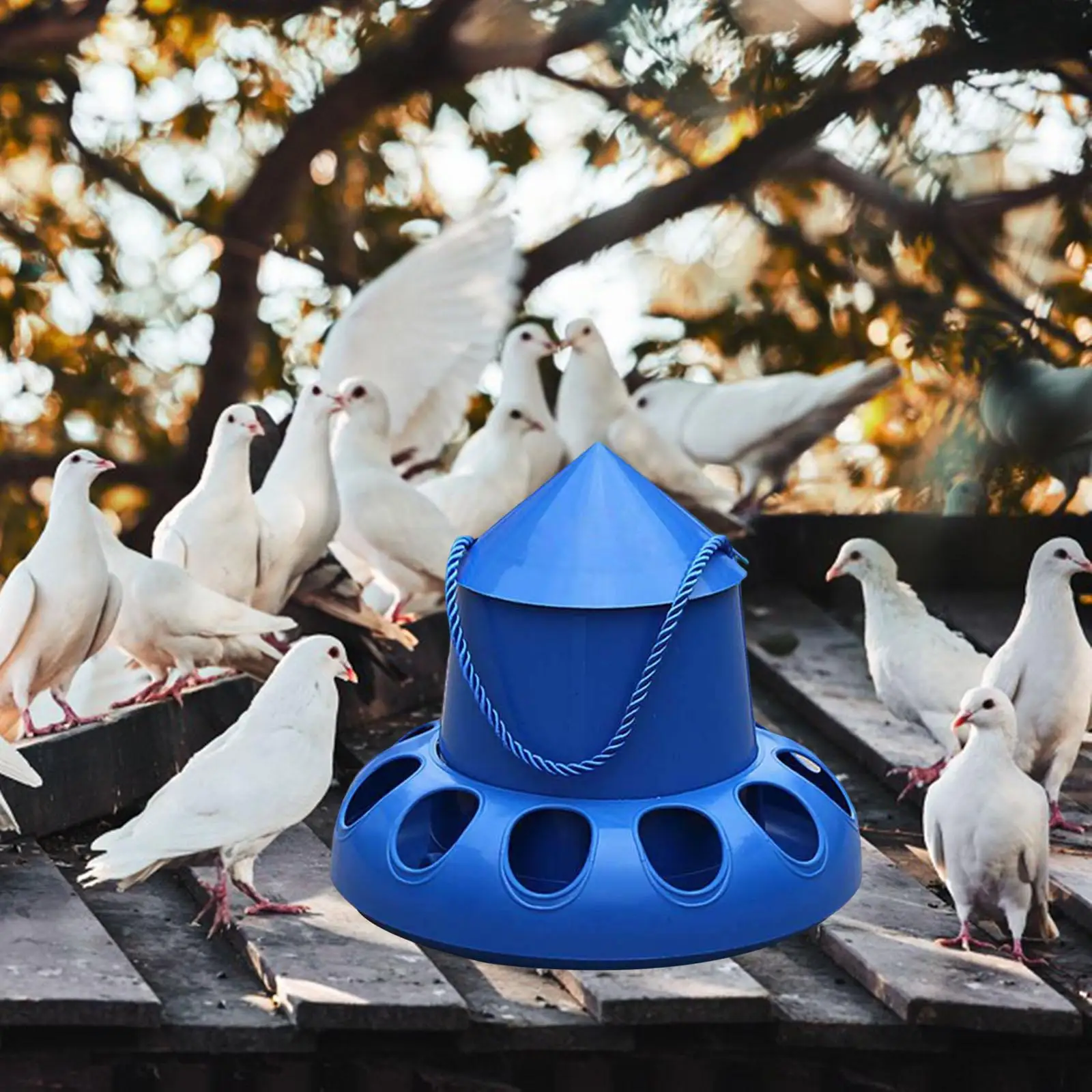 Chicken Feeder Bird Automatic Feeding Bucket Bowl for Budgie Pigeon