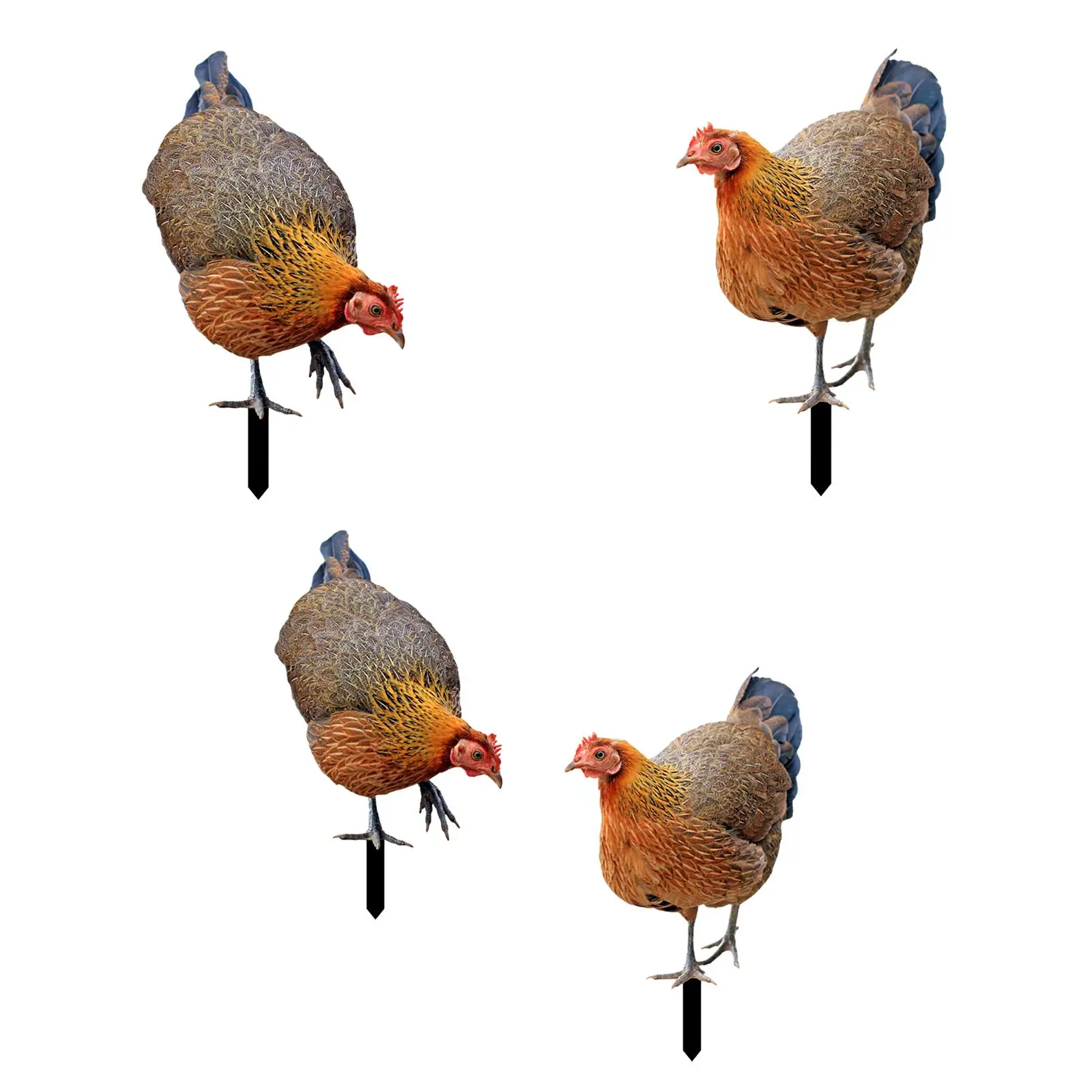 Rooster Stake Hen Figurines Figures Easter Decor Sign Realistic Chicken Sculpture for Courtyard Patio Pathway Outdoor Backyard