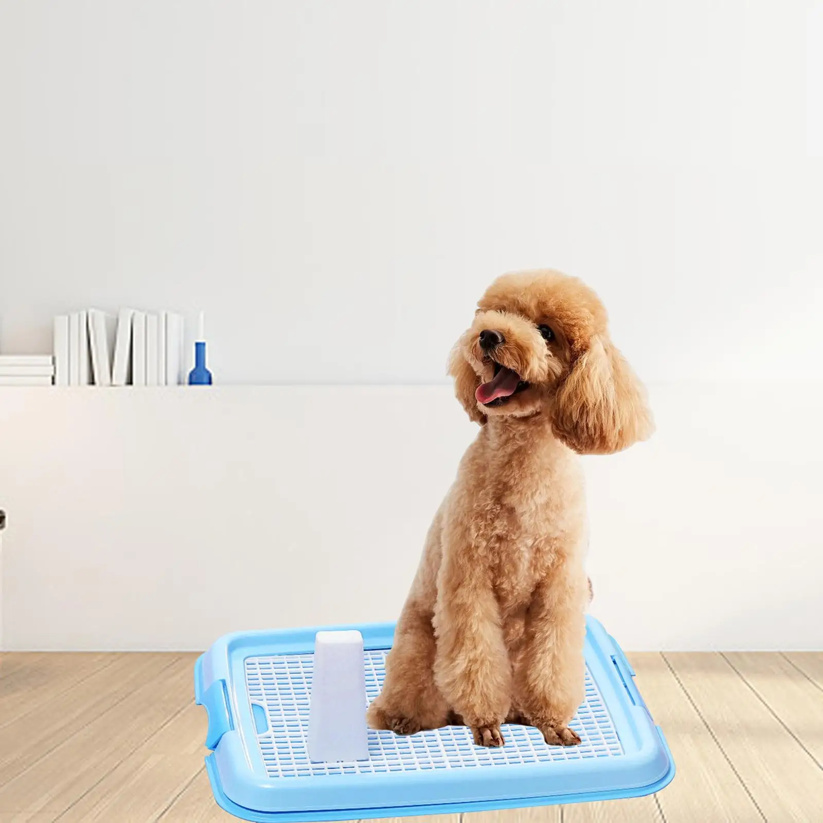 Pet Training Toilet Tray Urinal Keep Paws and Floors Clean Potty Trainer