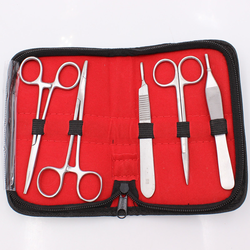 Best of Stainless Steel Dental Surgical Tissue Tweezer Set Surgical Scissors Oral Surgery Tools Forcep Extraction Hemostat Dentist Surgi Reviews & Tips - Image 2