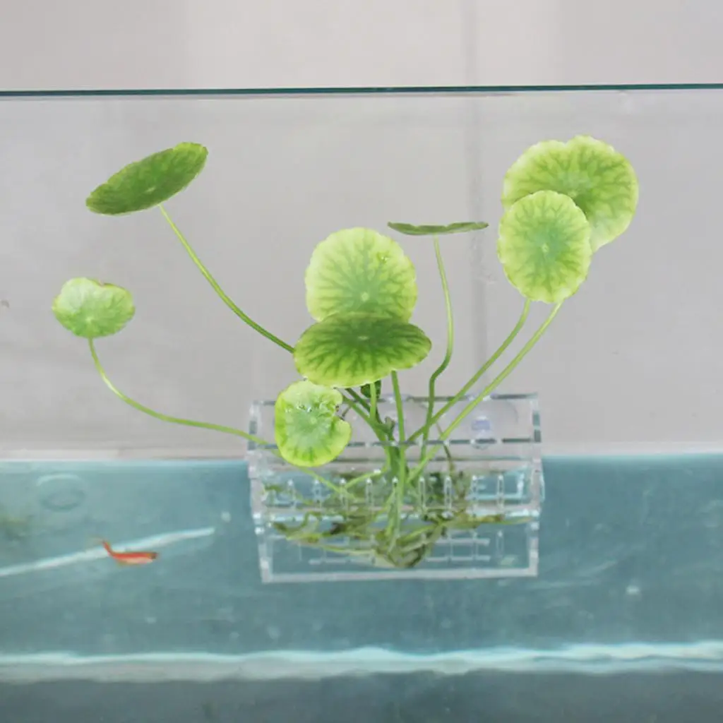 Aquarium Fish Tank Acrylic Plant Pot Aquatic Plant Cup Pot with Suction Cup