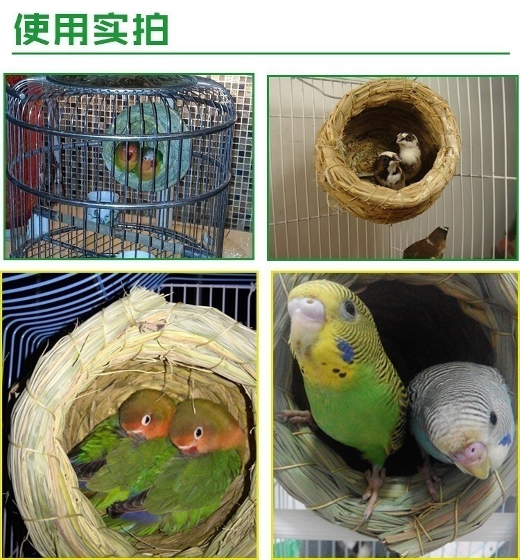 Title 3, Bird Parrot Handwoven Straw Cage Animals Hamste...