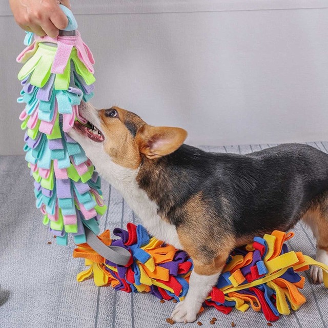 Snuffle Mat for DogsPet Dog Snuffle Matt for Large to Small Dogs Breed  Interactive Feeding Game for Boredom and Mental Stimulati - AliExpress