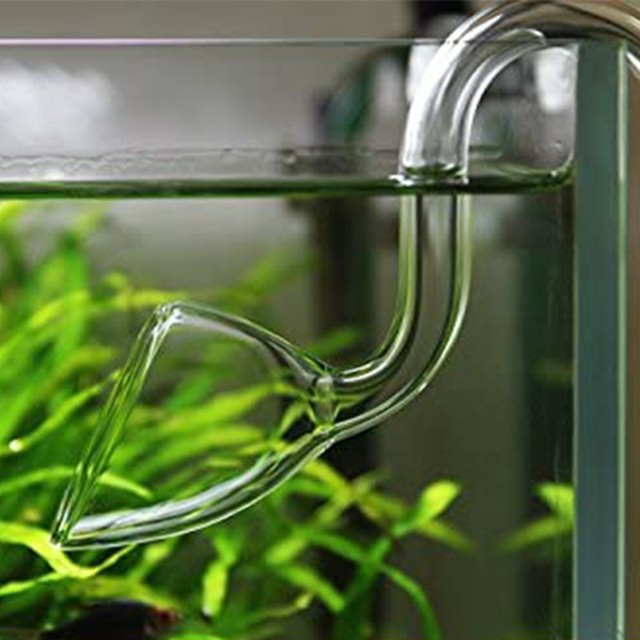 Tube de sortie en verre avec ventouse pour aquarium, tuyau de lys