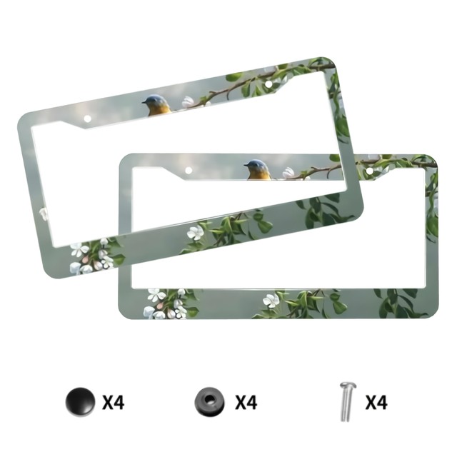 License Plate Frame Women Sparkle Frames Plates Bling Covers Womens Car  Accessories On Sticks Stainless Steel - AliExpress