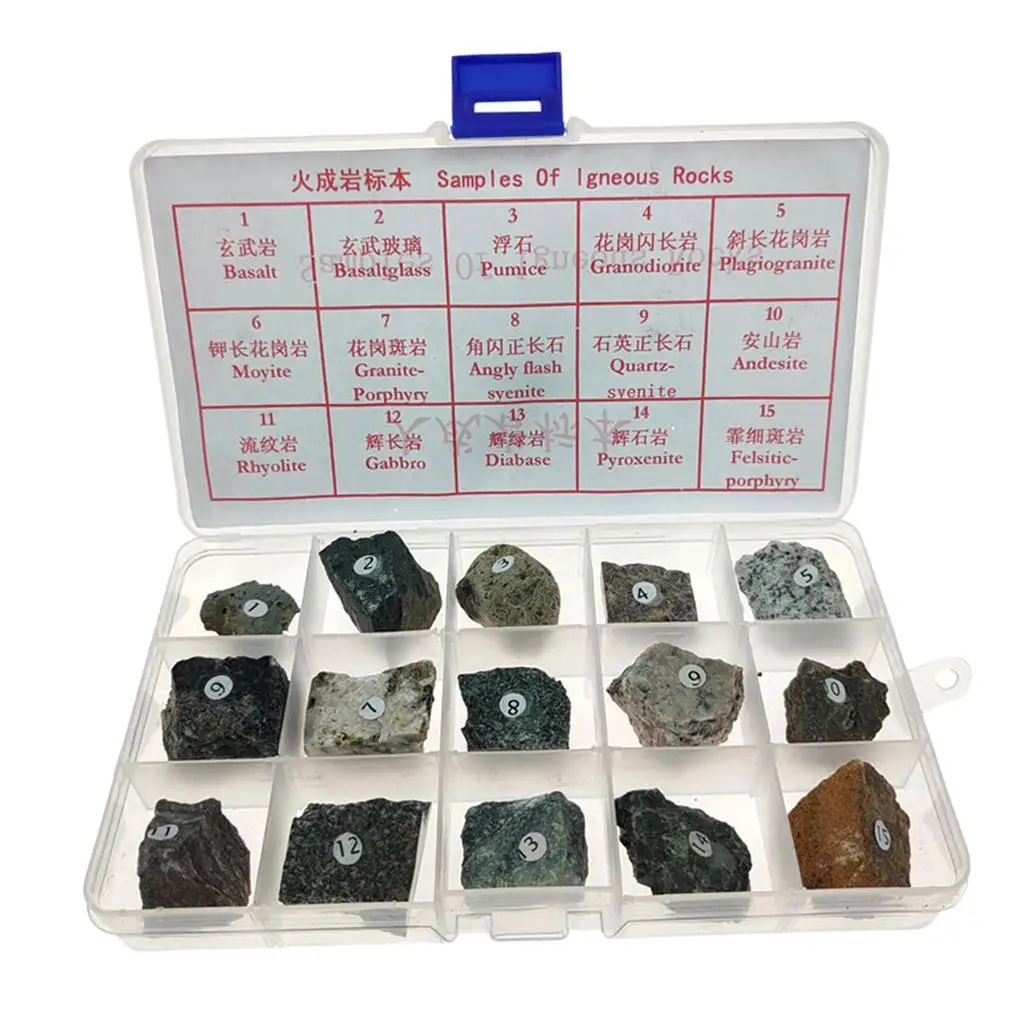 15pcs Igneous Rock Specimen Rock Teaching Aid Supplies w/ Box Ages 8 up