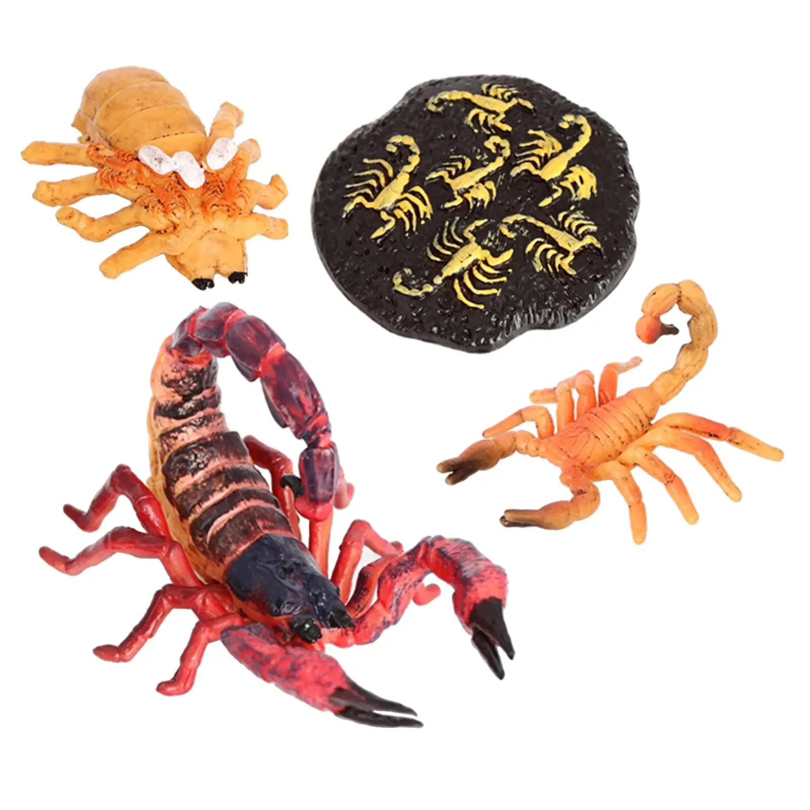4Pcs Nature Scorpion Growth Cycle Child Education Learning Teaching Toy Red