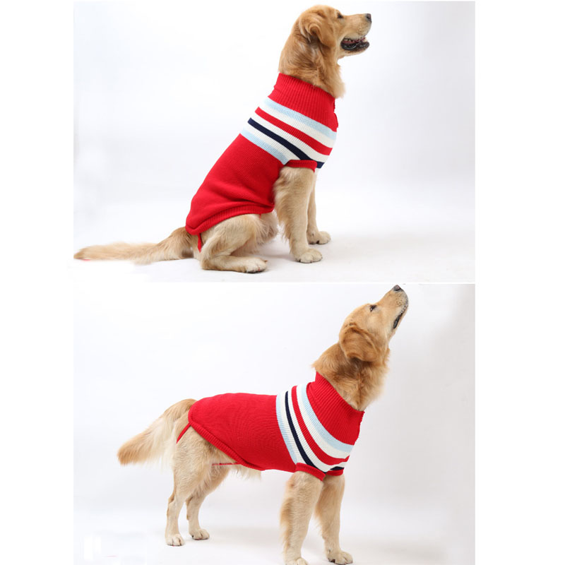 golden retriever knit sweater