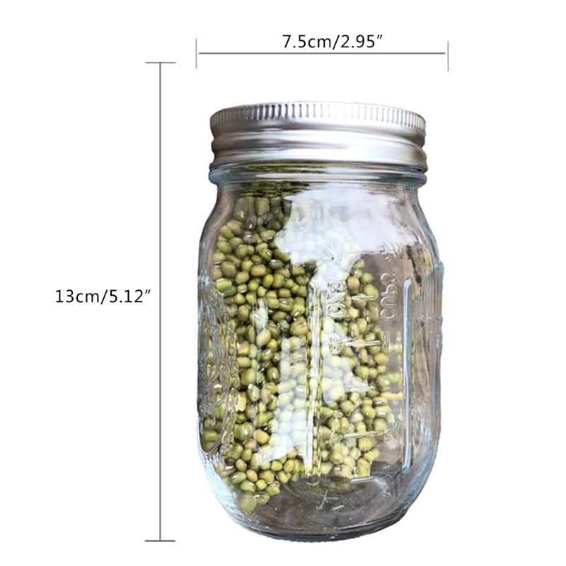 Kit Germination Graines Zoojoy - Bocal Verre Et Couvercle Inox - Pour Pousses Alfalfa Brocoli Haricots