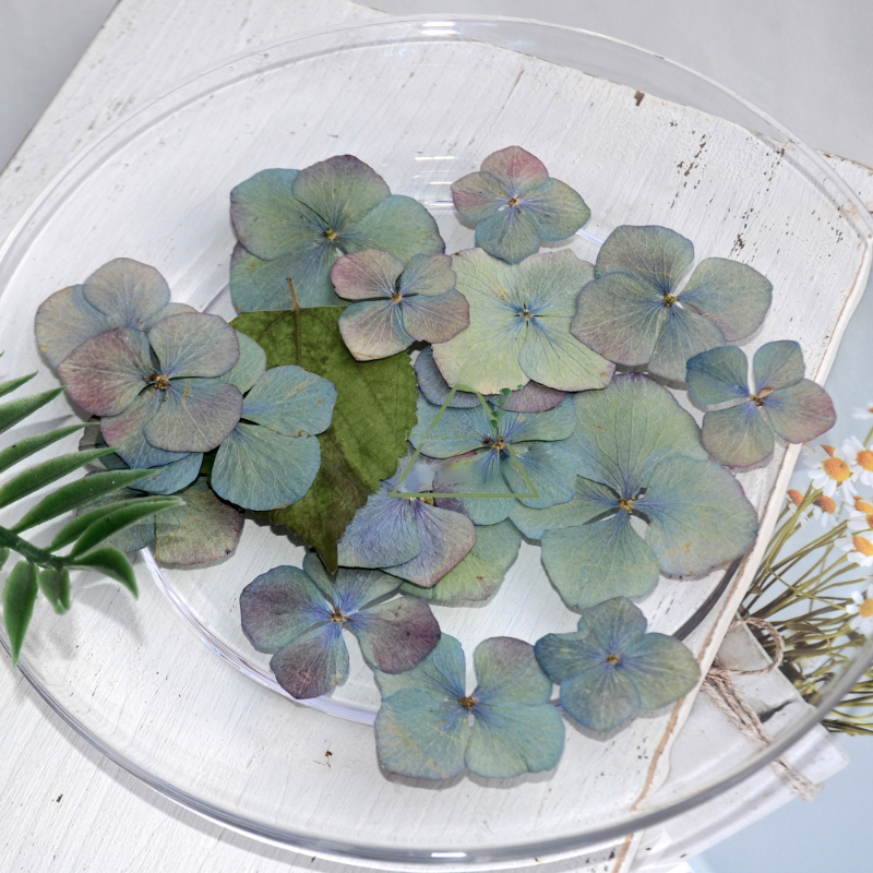 2,5-5cm/24 Stück, Gepresste Herbst-Hortensien Echte Trockenblumenblätter, DIY Weihnachts-Fotorahmen Lesezeichen Schreibtischlampe Tropfengel Handyhülle – Detail 3
