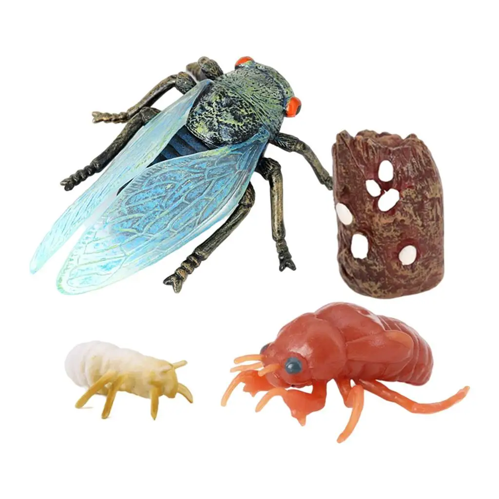 4 Piece Life Cycle Figures Insects Plastic Cicada Toy Figure Authentic Hand Painted Model Education Toy
