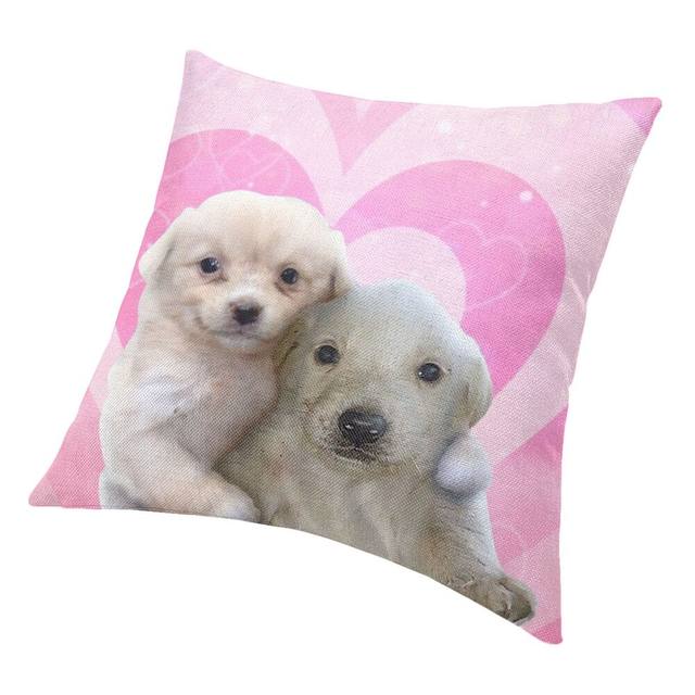 Yohanka with a pillow dog Pz-2021, Pet Accessories