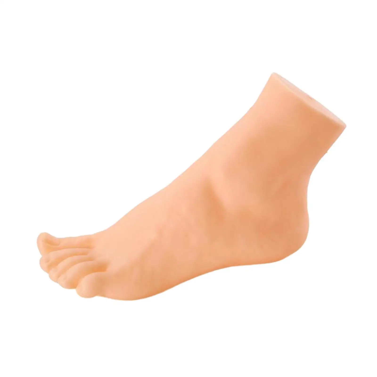 Mannequin Foot Display Lightweight Sock Display Prop Durable Foot Model Simulation for Shop Retail Jewelry Short Stocking