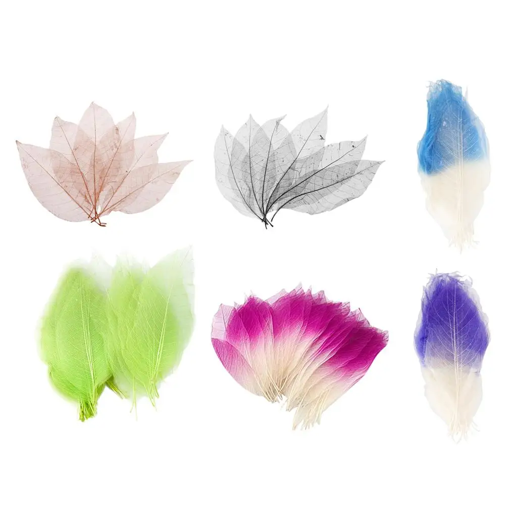 300x Mixed  Catbrier Skeleton Leaves for Scrapbooking crafts