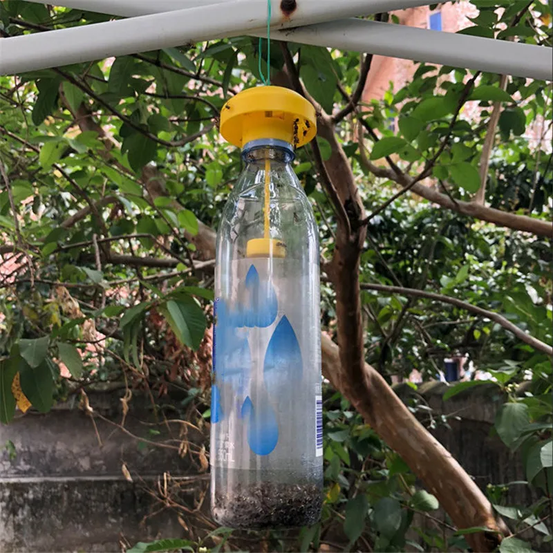 Description Picture 6 of item1/2PCS Fruit Fly Trap Killer Plastic Yellow Drosophila Trap Fly Catcher Pest Insect control For Home Farm 6*6*2cm