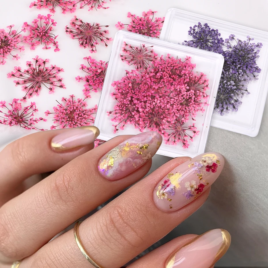 Best of 3D Real Dried Flowers Nail Art Decoration Lace Petal Design Natural Pressed Floral Charm Plant Jewelry Nail Accessories Supplies Reviews & Tips