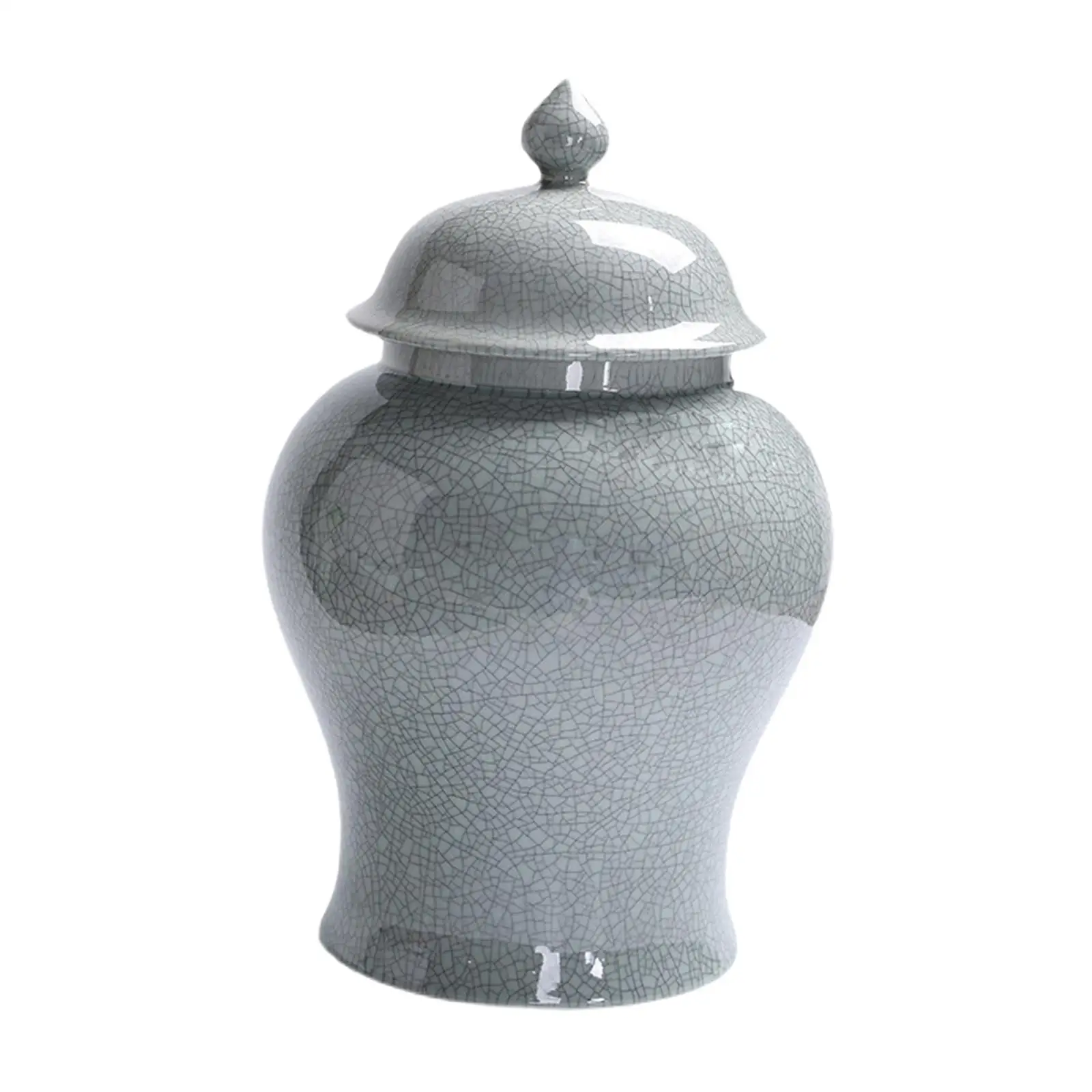 Chinese Ceramic Flower Vase Storage Bottle Handmade Ornament Porcelain Ginger Jar for Floral Arrangement Art Decor Tabletop
